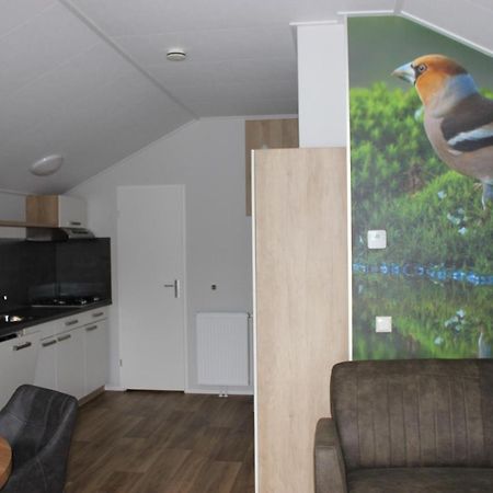 De Bijsselse Enk, Noors Chalet 9 Nunspeet Zewnętrze zdjęcie